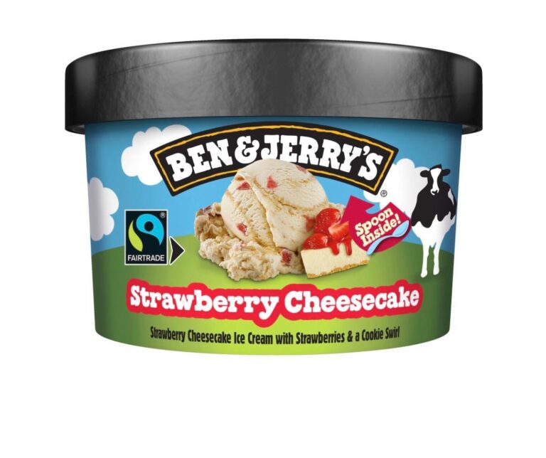 Ben&Jerry ice Cream Strawberry Cheesecake 100ml